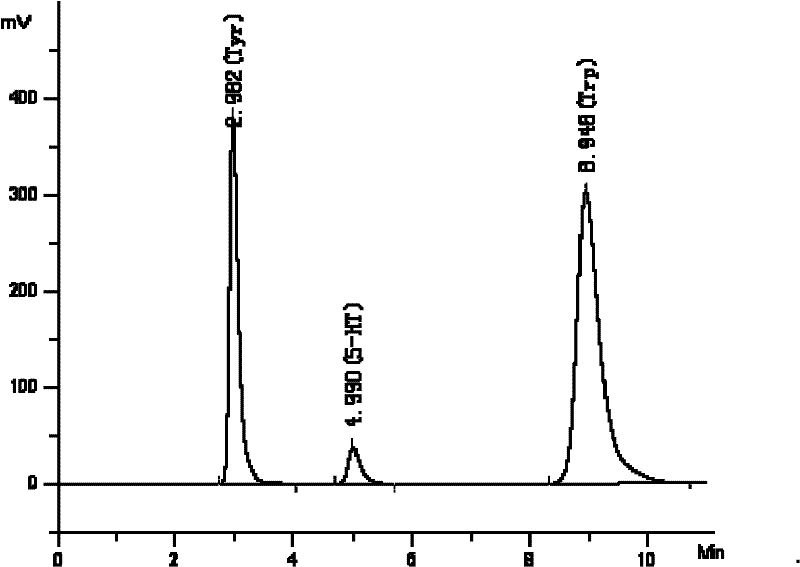 Method for measuring contents of tyrosine, tryptophan and 5-hydroxytryptamine in blood serum by high-efficiency liquid phase chromatography-fluorescence method