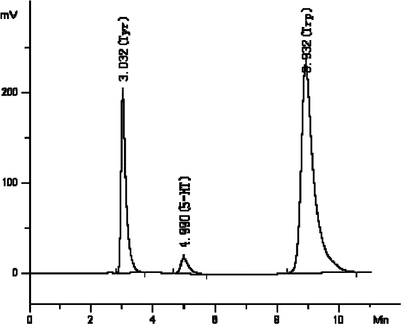 Method for measuring contents of tyrosine, tryptophan and 5-hydroxytryptamine in blood serum by high-efficiency liquid phase chromatography-fluorescence method