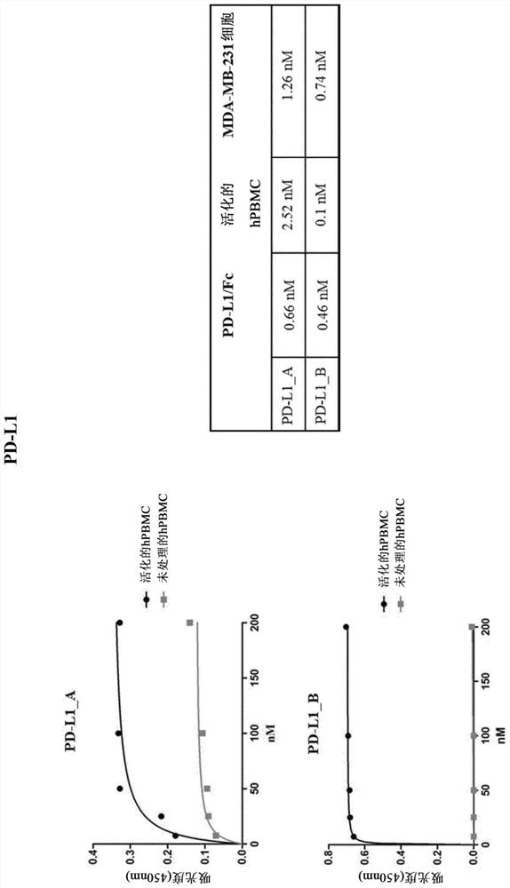 Antagonistic PD-1, PD-L1 and LAG-3 binding proteins