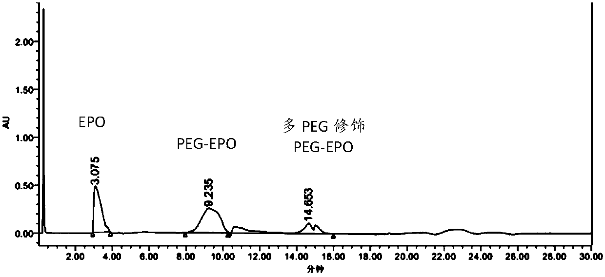 Preparation method of single-modified polyethylene glycol recombinant human erythropoietin, its products and applications