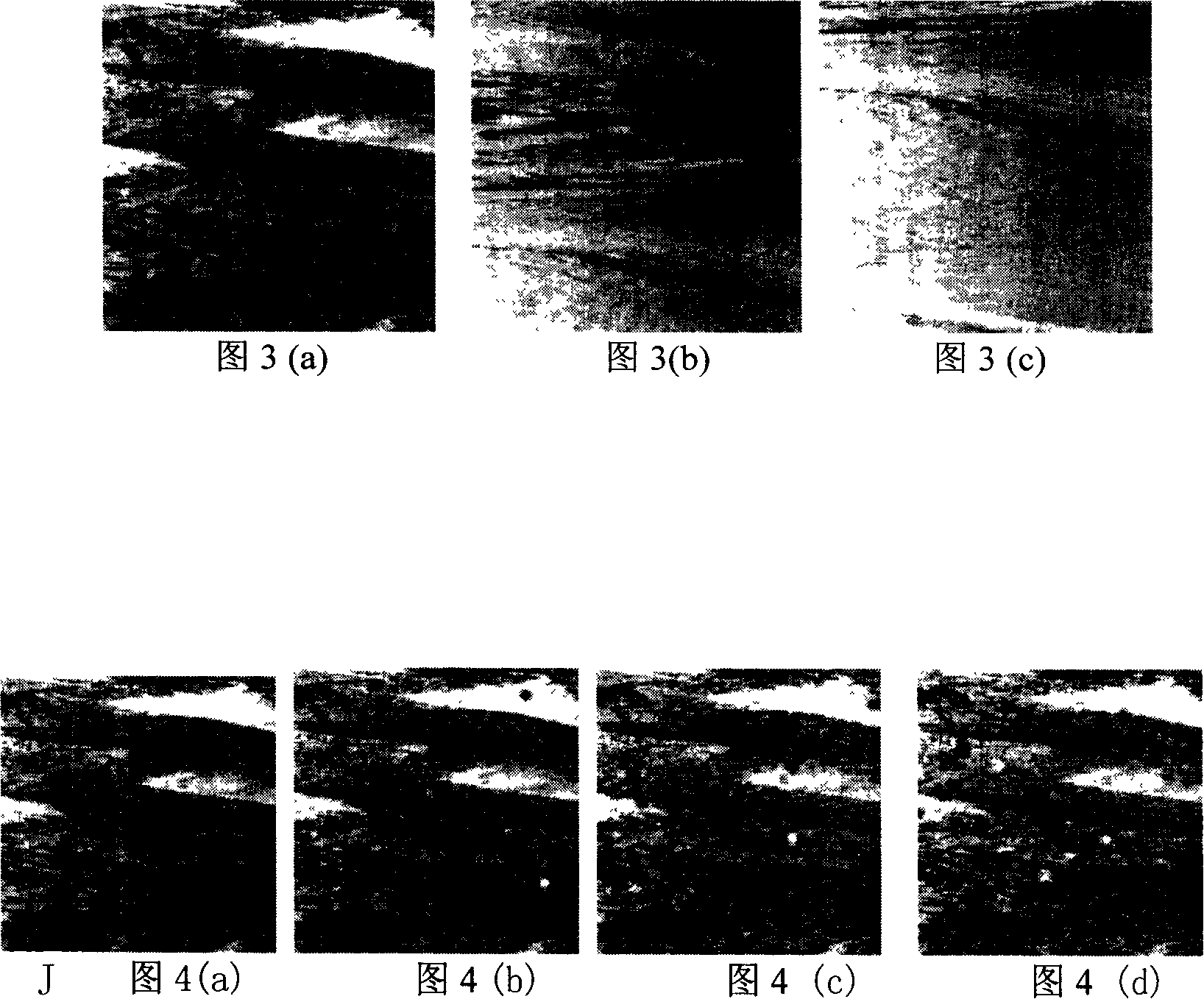 Hydroacoustic image compression method based on discrete wavelet transform under excessive bit error rate