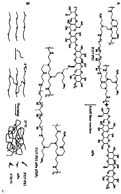 Self-healing injectable hydrogel dressing for restoring diabetic wound as well as preparation method and application thereof