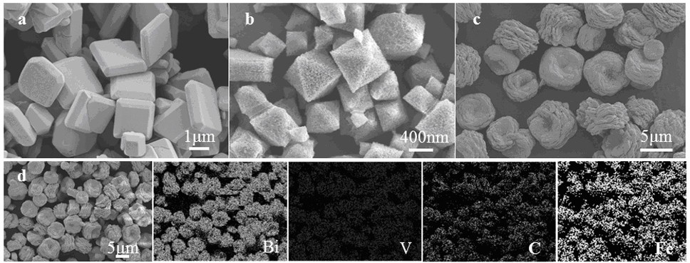 Preparation method and application of photocatalyst for selectively reducing nitrate into N2