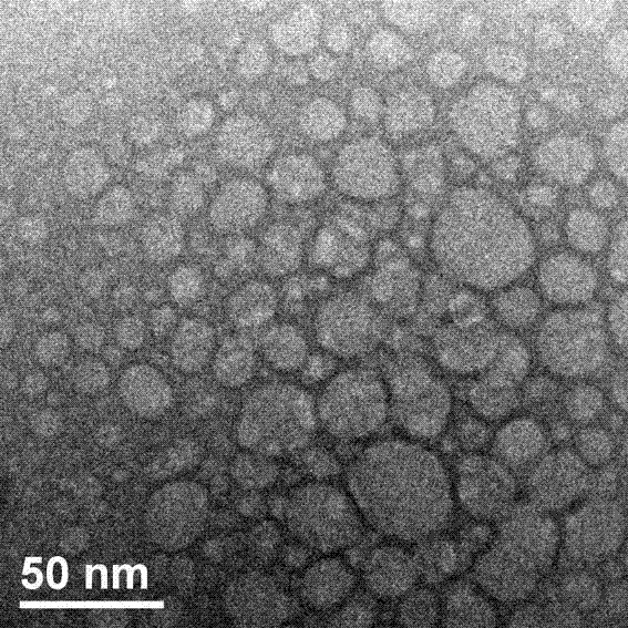 A kind of preparation method of chlorpromazine hydrochloride multicapsule sustained-release granule