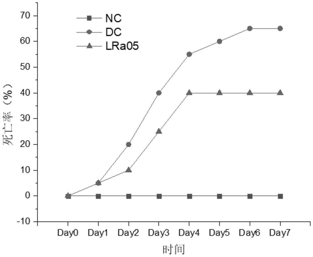 Lactobacillus rhamnosus strain LRa05 as well as application and product thereof