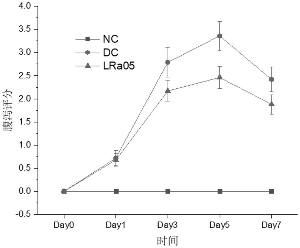 Lactobacillus rhamnosus strain LRa05 as well as application and product thereof