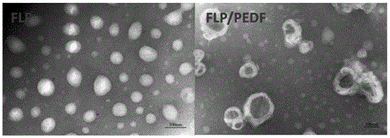 PEDF gene composite targeted by tumor cell folate receptor