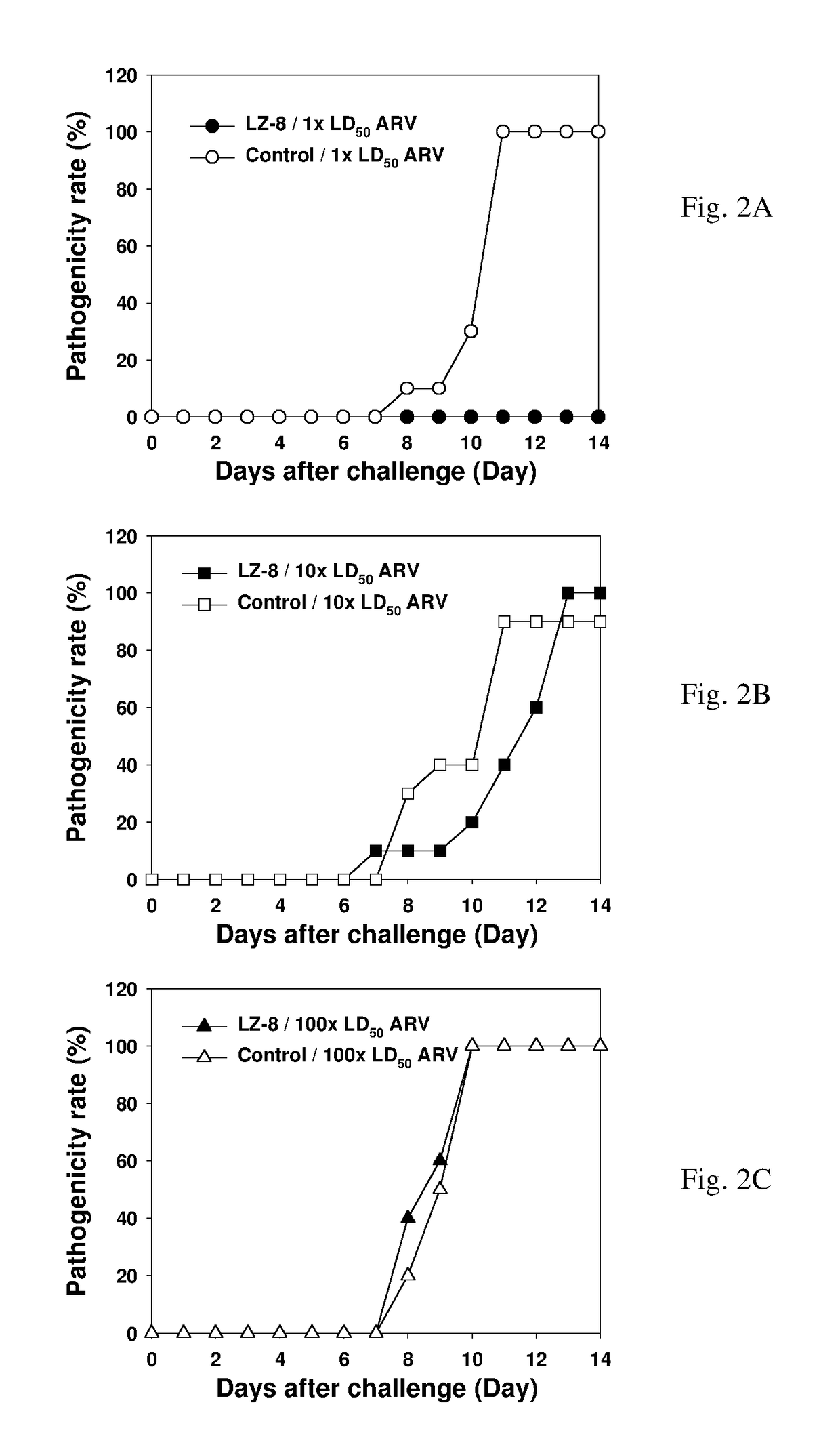 Uses of starch binding protein (SBP)-tagged immunostimulatory protein