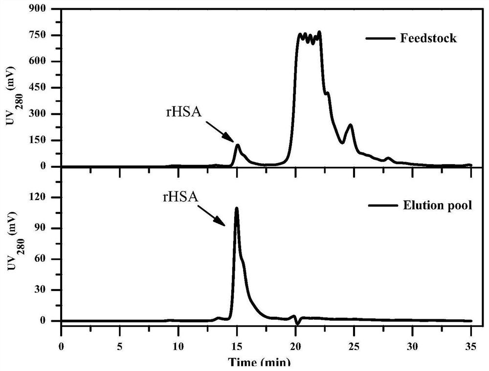 A mixed-mode chromatographic method for separating human albumin from yeast fermentation broth