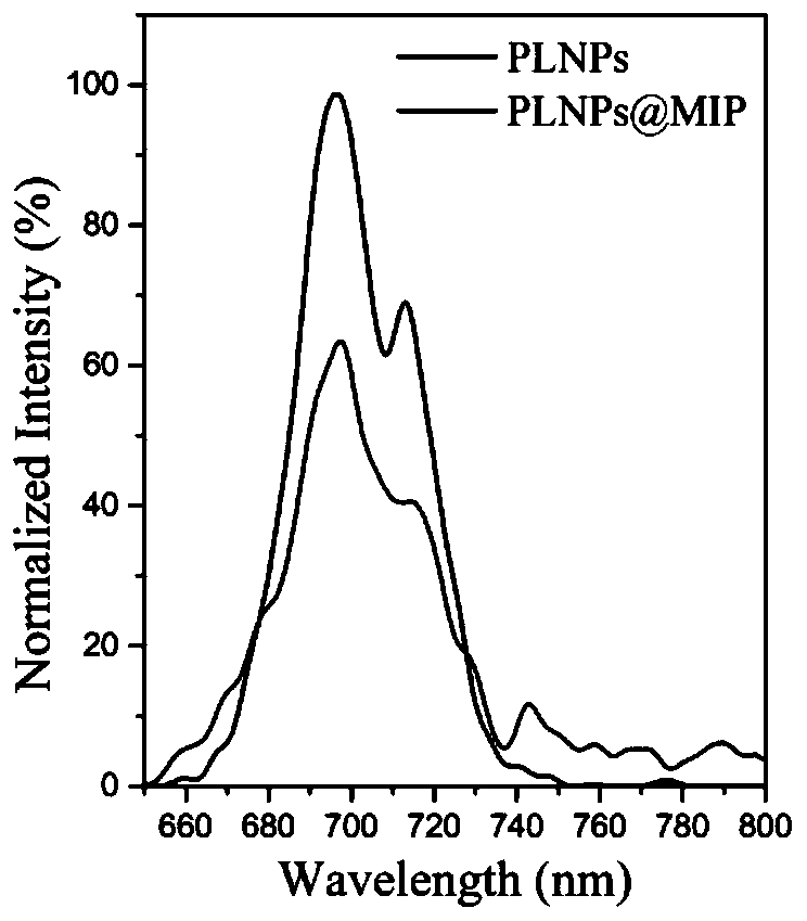 Preparation method and application of long-afterglow molecularly imprinted polymer