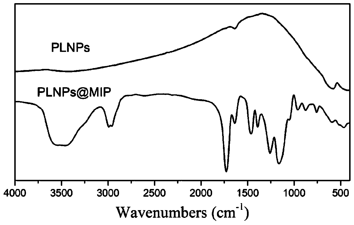 Preparation method and application of long-afterglow molecularly imprinted polymer