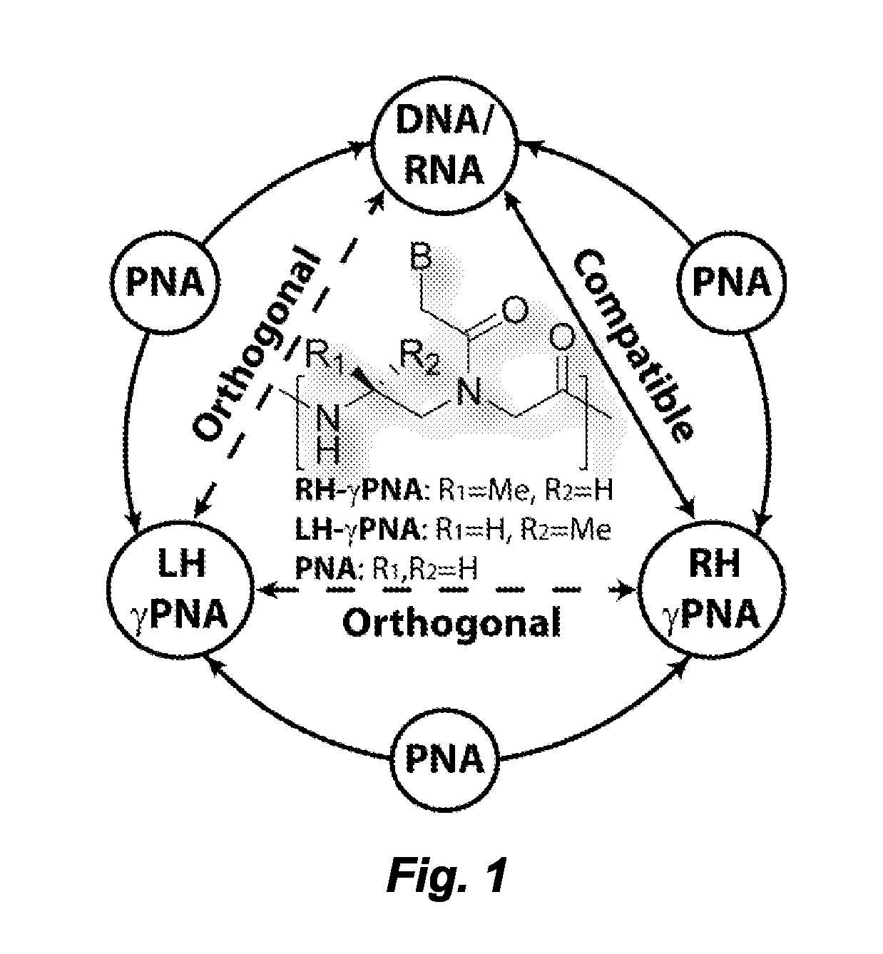 Left-Handed Gamma-Peptide Nucleic Acids, Methods of Synthesis and Uses Therefor