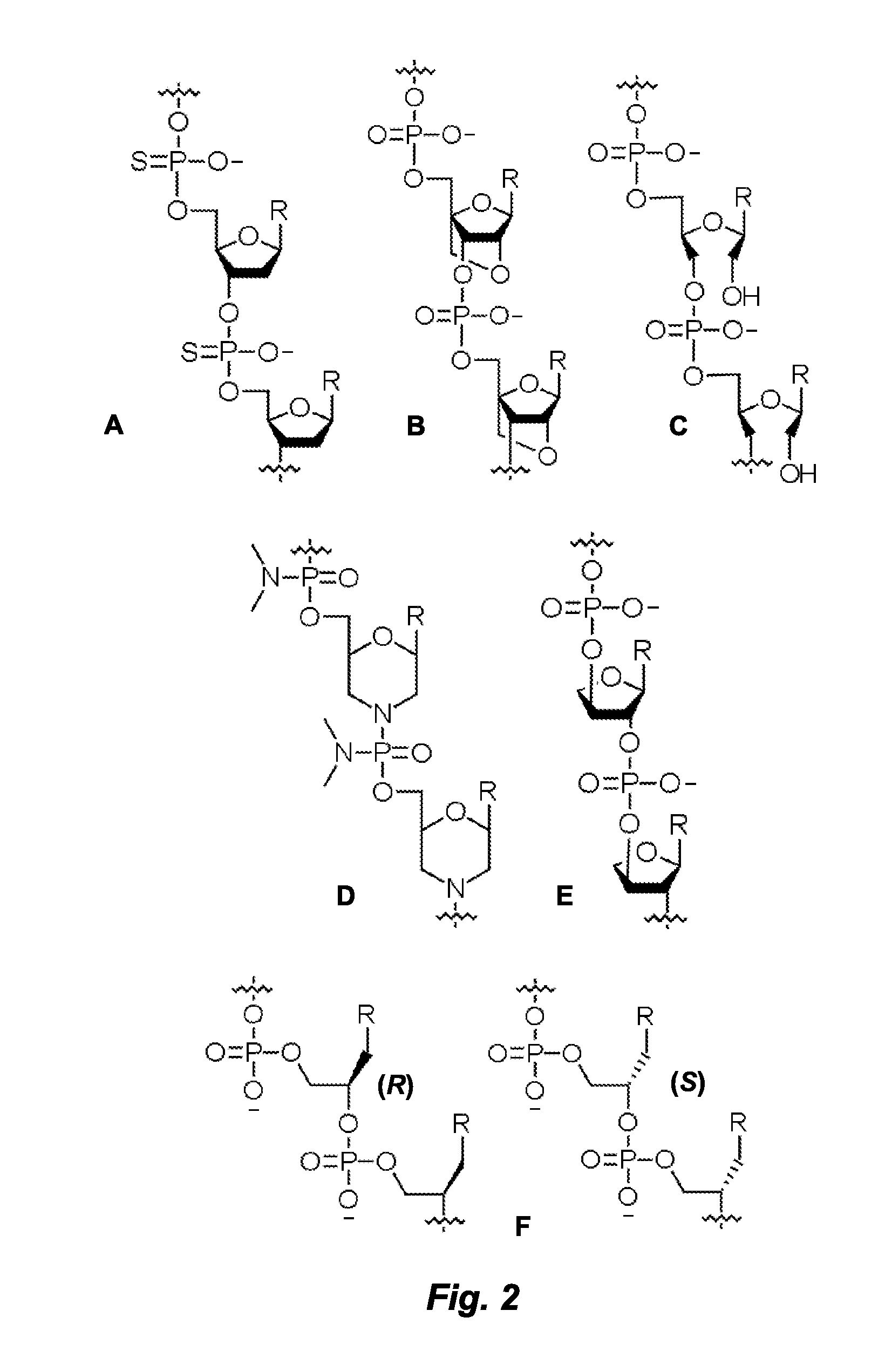 Left-Handed Gamma-Peptide Nucleic Acids, Methods of Synthesis and Uses Therefor