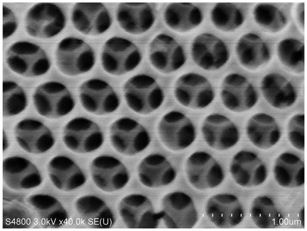 A kind of photoelectric catalytic anode material and treatment method for removing phthalates