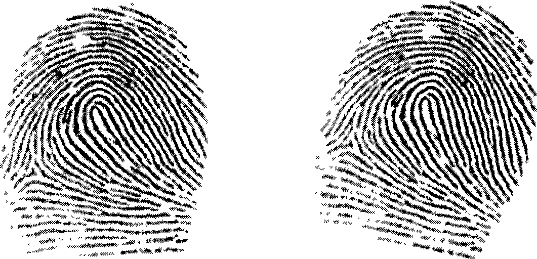 Fingerprint alignment method, fingerprint collection apparatus, fingerprint alignment apparatus