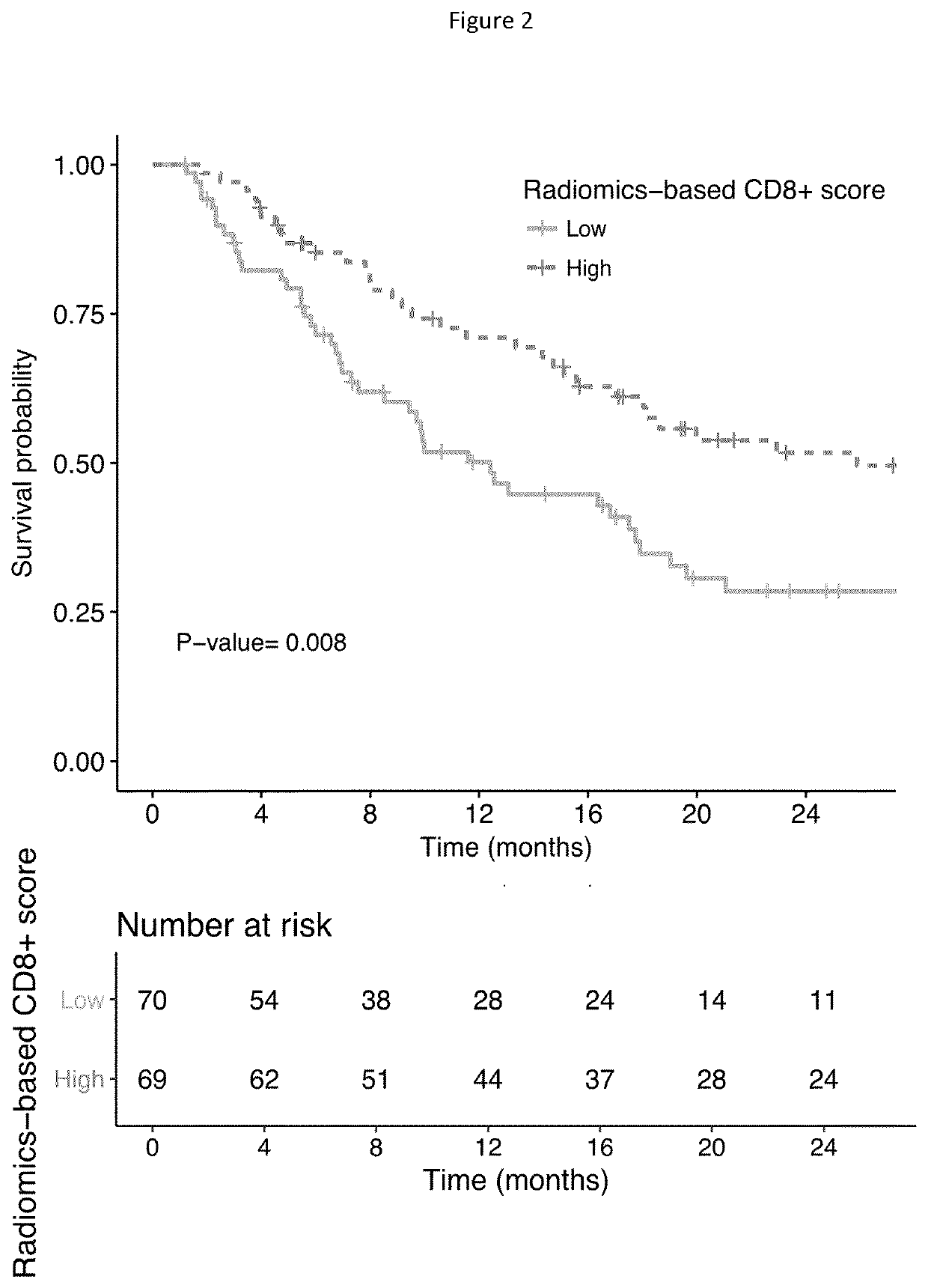 A Radiomics-Based Imaging Tool to Monitor Tumor-Lymphocyte Infiltration and Outcome in Cancer Patients Treated by Anti-PD-1/PD-L1