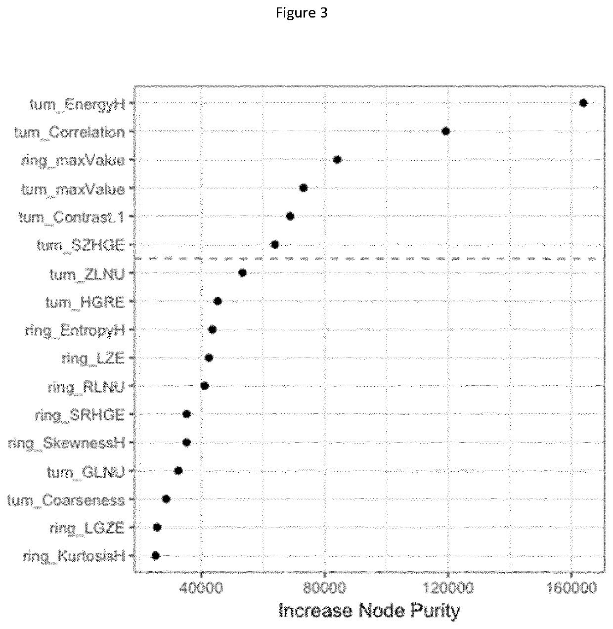 A Radiomics-Based Imaging Tool to Monitor Tumor-Lymphocyte Infiltration and Outcome in Cancer Patients Treated by Anti-PD-1/PD-L1