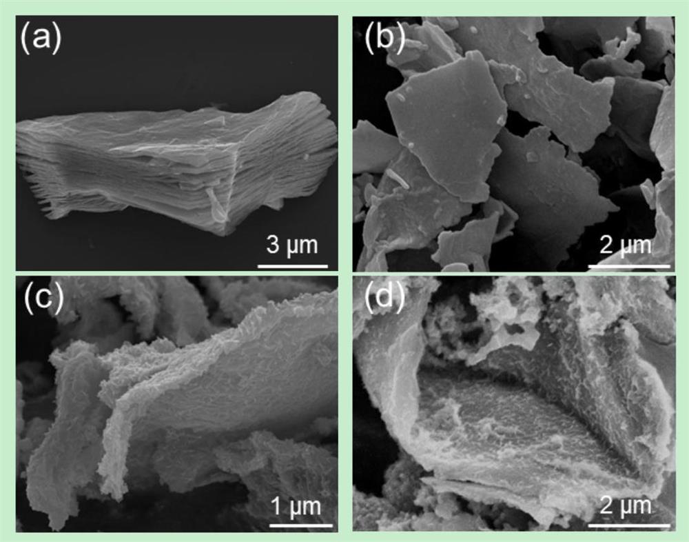 Cobalt nickel sulfide-MXene electrode material for supercapacitor and preparation method of cobalt nickel sulfide-MXene electrode material