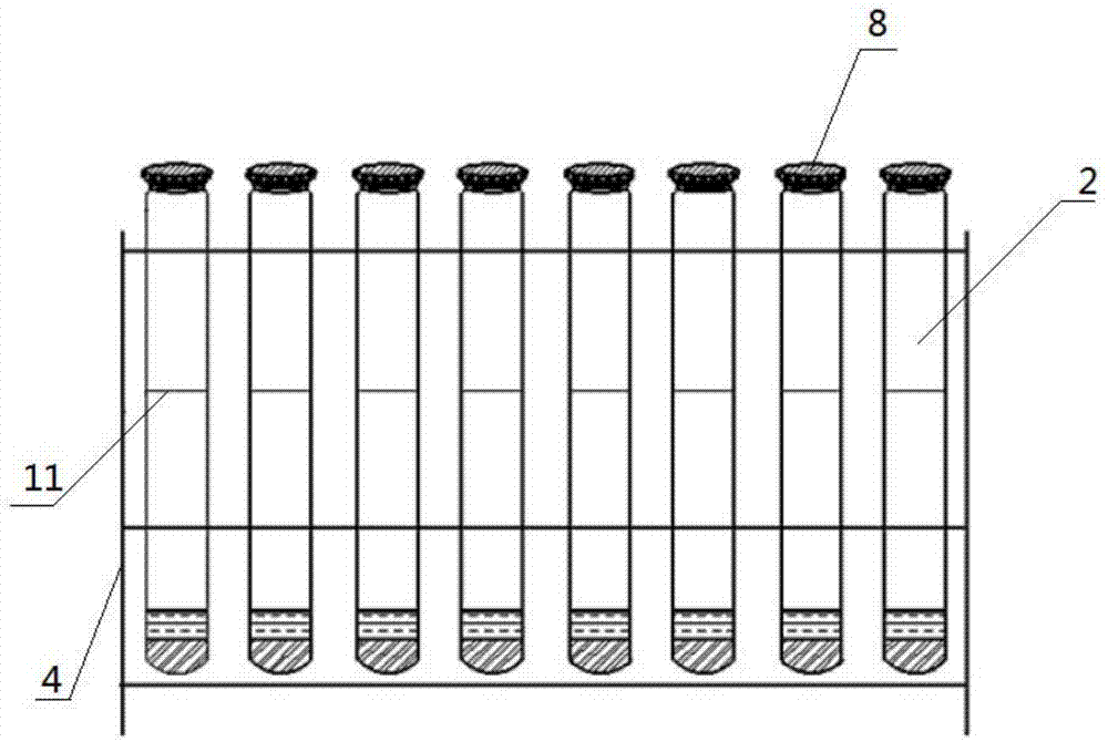 Rapid butyl xanthate detection kit and detection method thereof