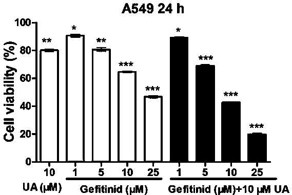 A pharmaceutical composition containing small molecule targeting drug gefitinib and its application in the preparation of antitumor drugs