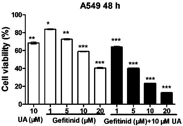 A pharmaceutical composition containing small molecule targeting drug gefitinib and its application in the preparation of antitumor drugs