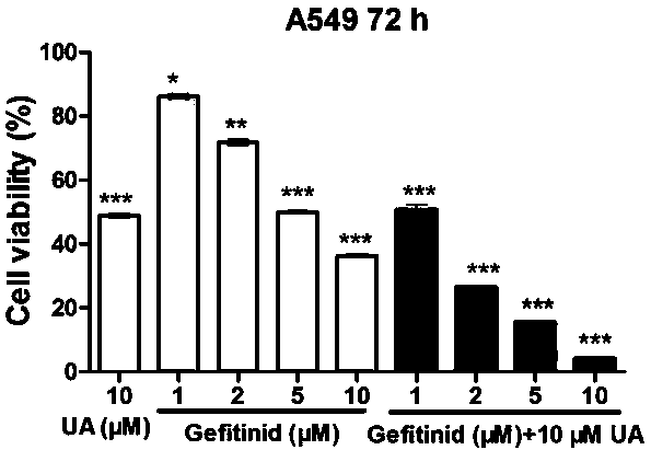 A pharmaceutical composition containing small molecule targeting drug gefitinib and its application in the preparation of antitumor drugs