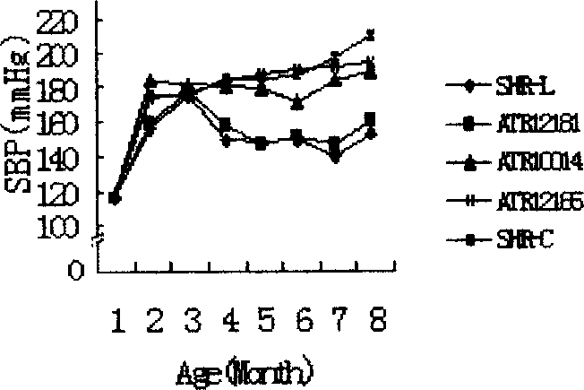 Angiotensin II receptors I immunogenic peptide section and its use