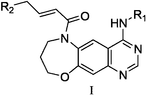 6, 7, 8, 9-tetrahydro-[1, 4]oxazepine[3, 2-g] quinazoline derivative, preparation method and application thereof