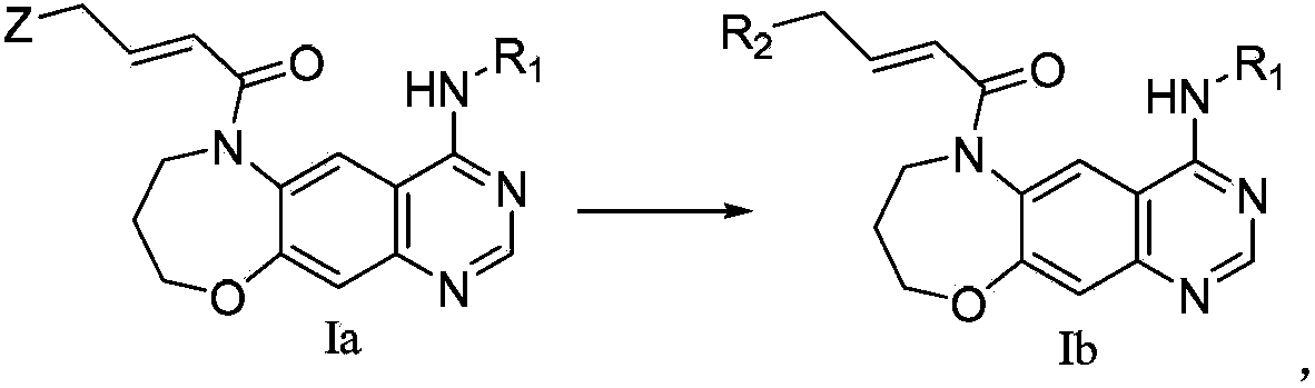 6, 7, 8, 9-tetrahydro-[1, 4]oxazepine[3, 2-g] quinazoline derivative, preparation method and application thereof