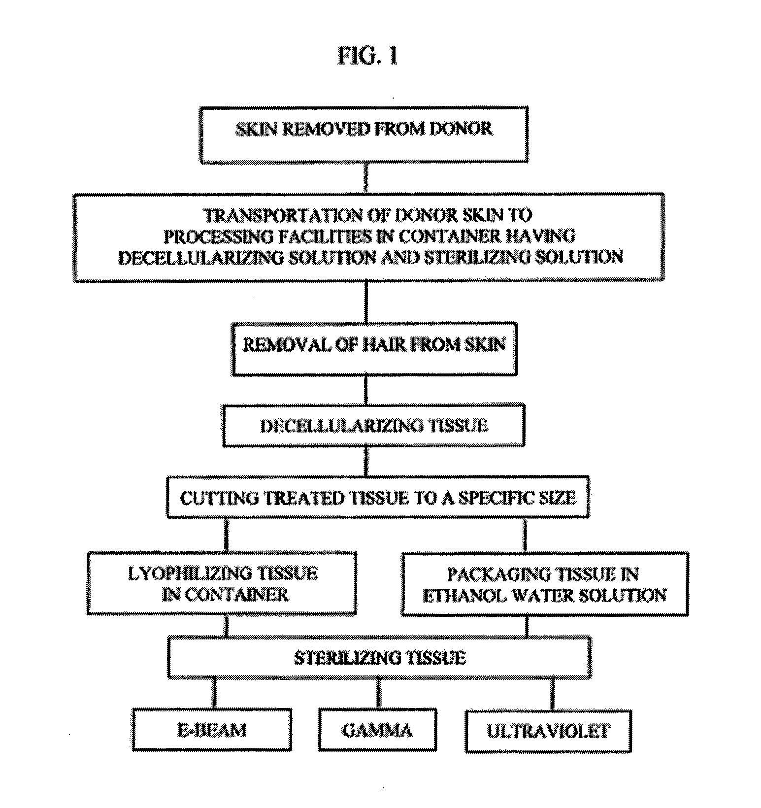 Process for sterilizing acellular soft tissue with irradiation