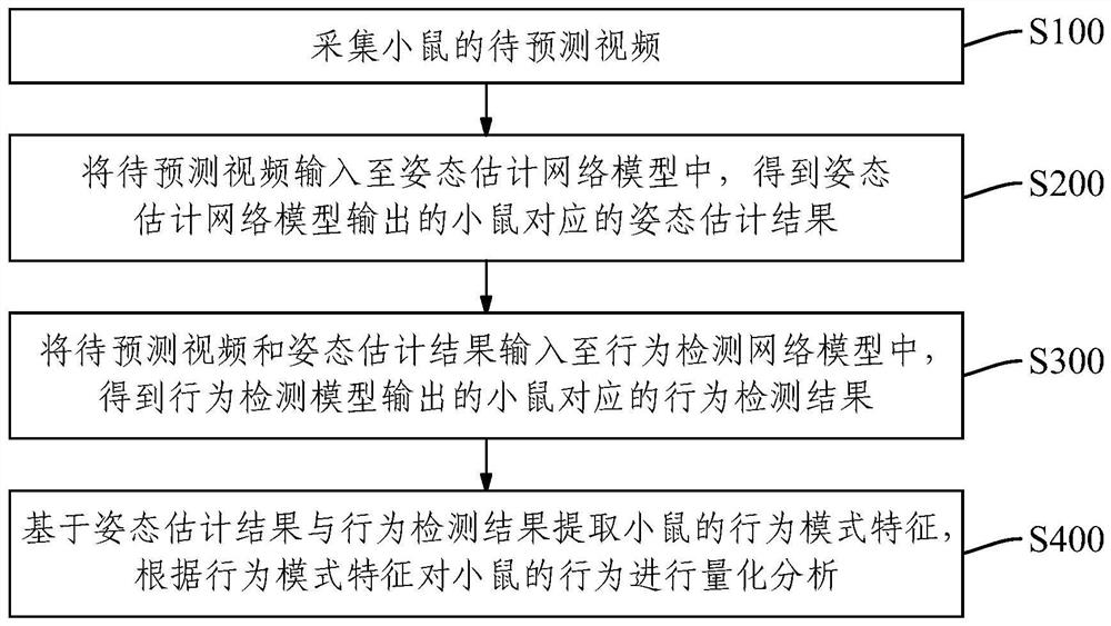 Mouse behavior quantitative analysis method and device, equipment and readable storage medium