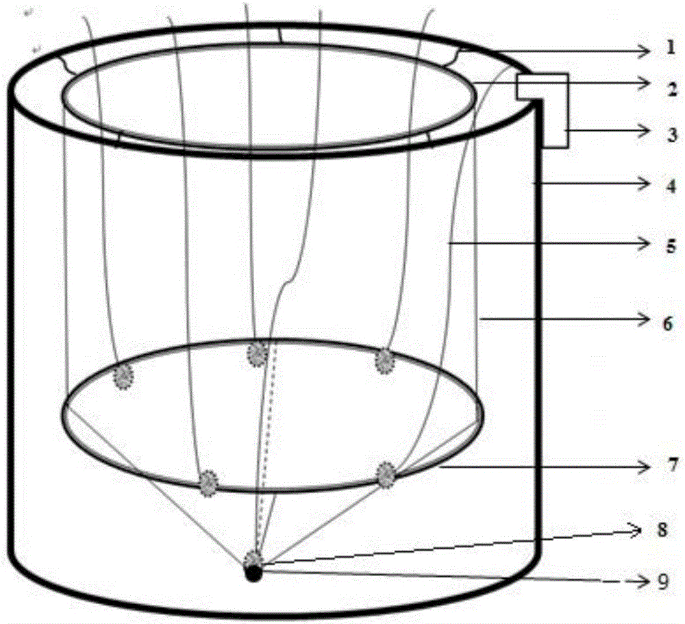 Hatching equipment and method for diodon holacanthus fertilized eggs