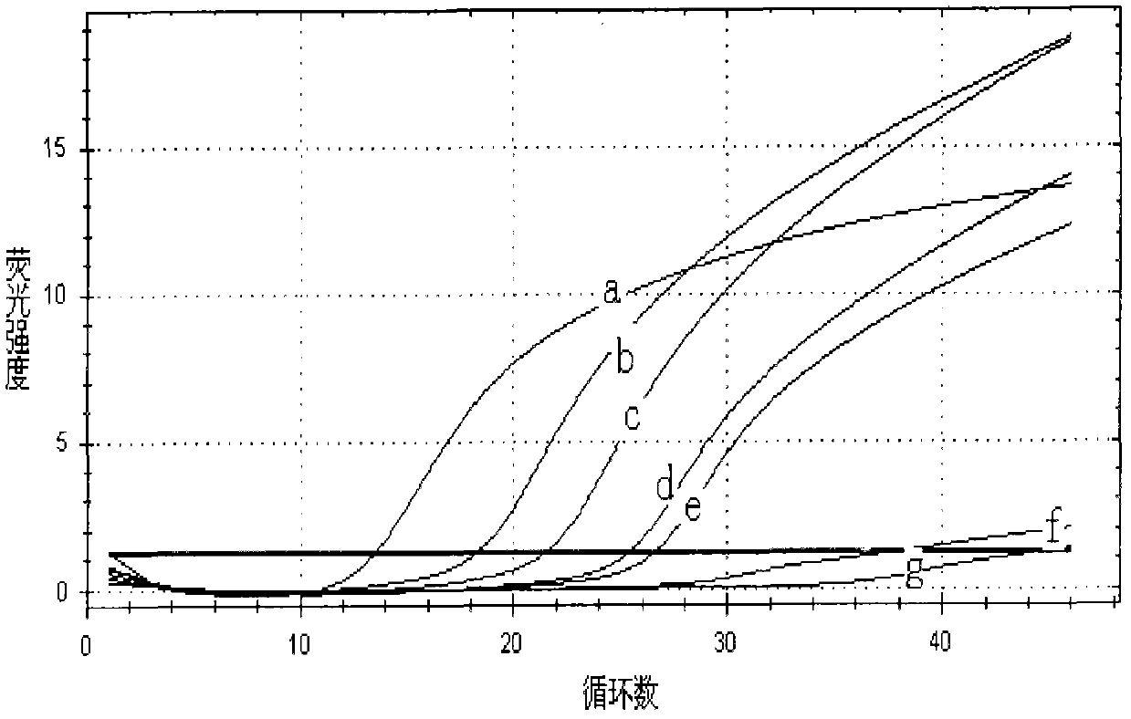 Bio-barcode detection method for ricin