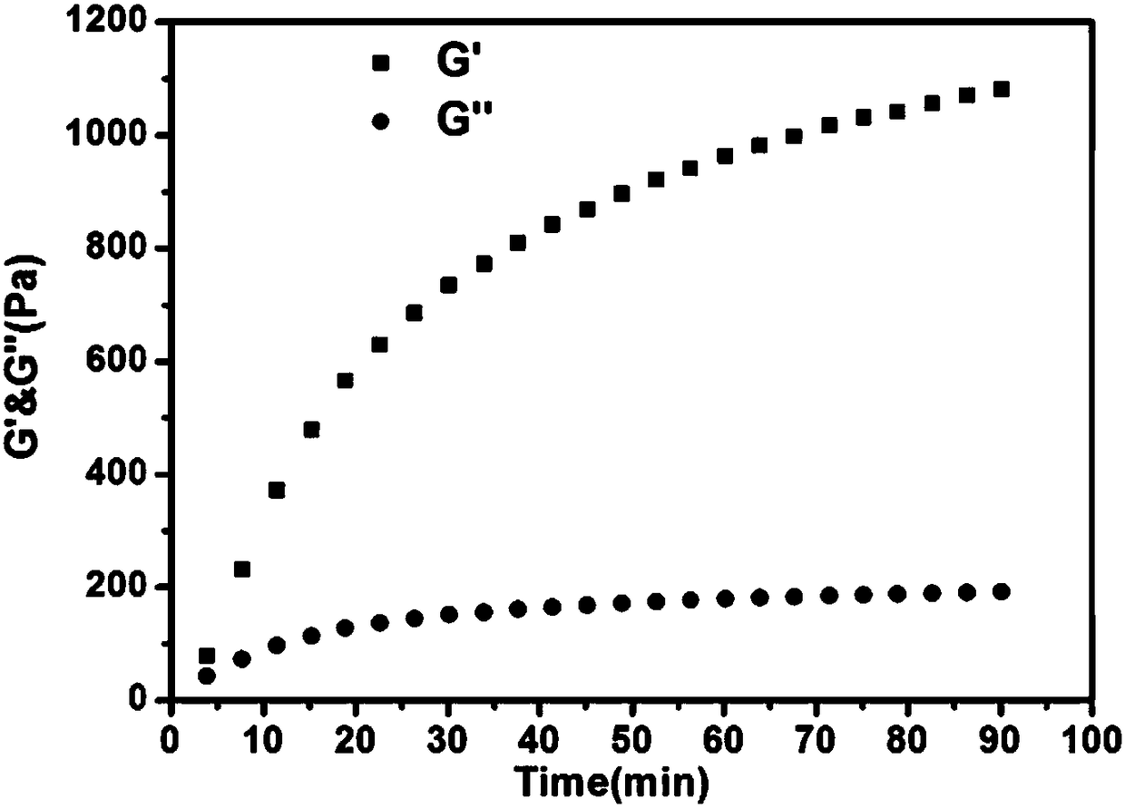 Double-crosslinking hybrid hydrogel based on acyl hydrazone bond and hydrophilic and hydrophobic self-assembling and preparation method thereof as well as skin tissue wound repairing agent