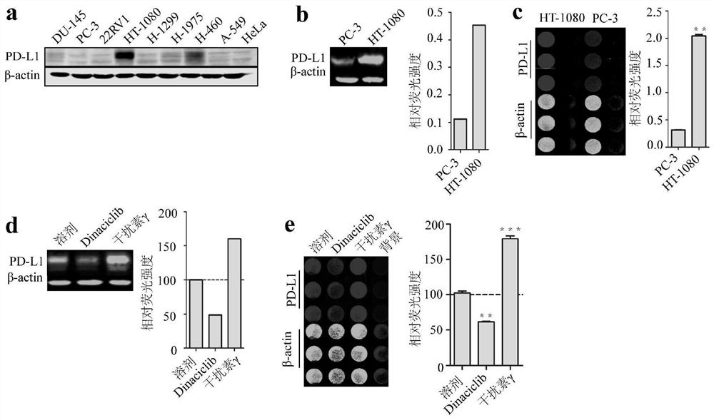 Inhibitor targeting tumor cell surface pd-l1 molecule and its application