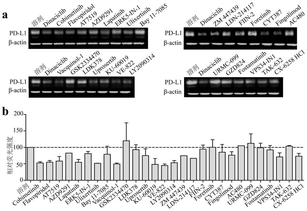 Inhibitor targeting tumor cell surface pd-l1 molecule and its application