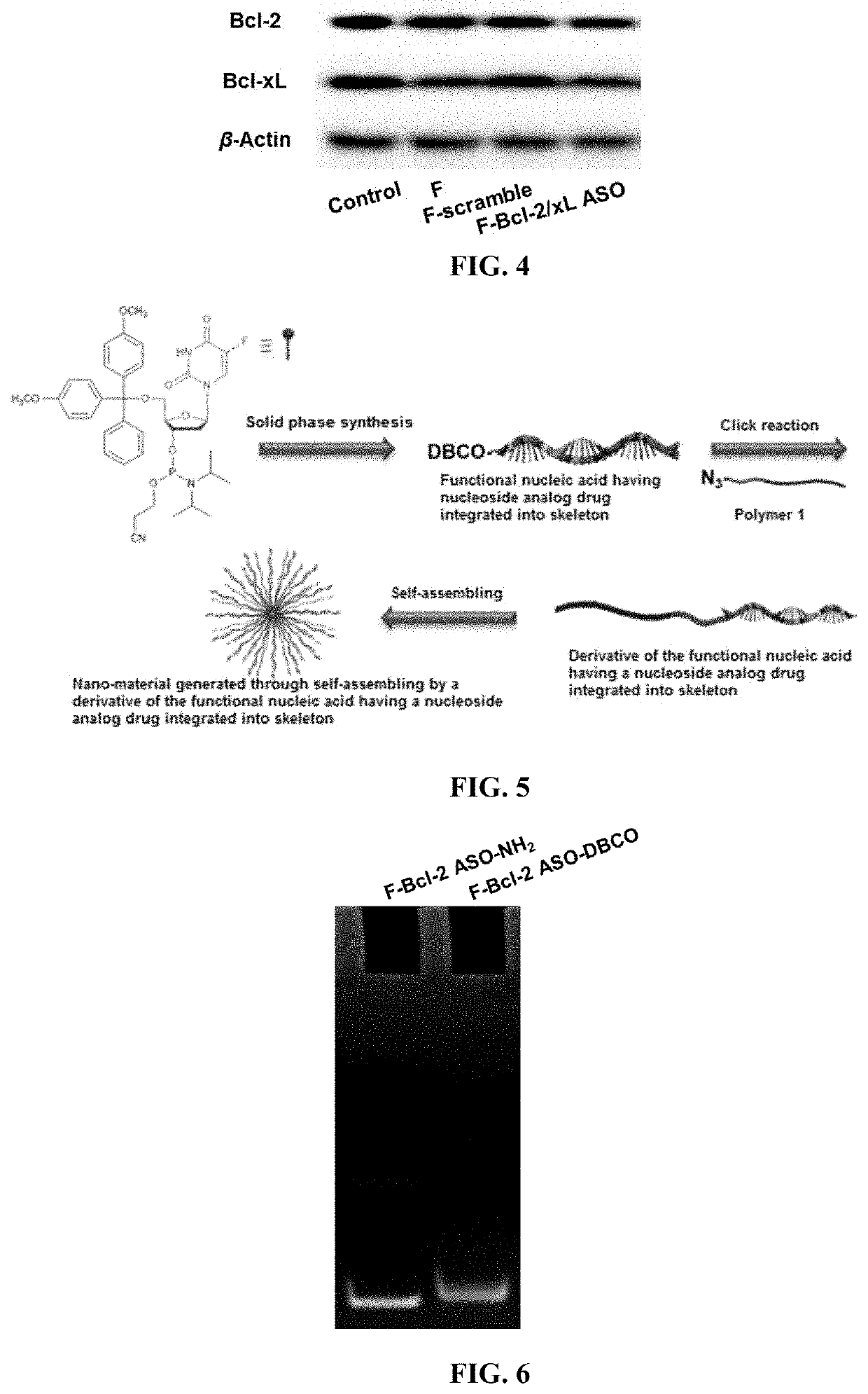 Functional nucleic acid having nucleoside analog drug integrated into skeleton, derivative and use thereof