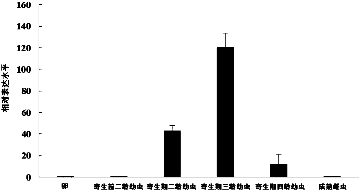 HaHSP4 protein of cereal cyst nematode and coding gene and application thereof