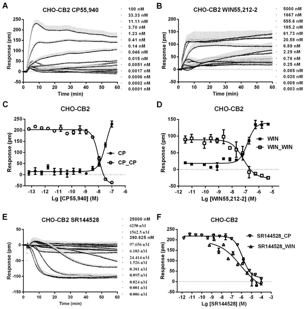 Application of compound as or in preparation of cannabinoid receptor agonist or antagonists