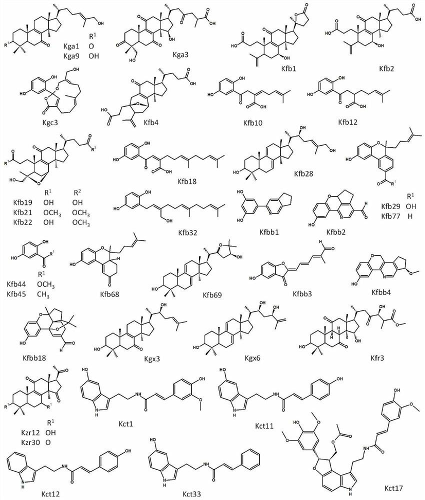 Application of compound as or in preparation of cannabinoid receptor agonist or antagonists