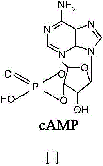 Preparation method of adenosine cyclophosphate oxide impurity