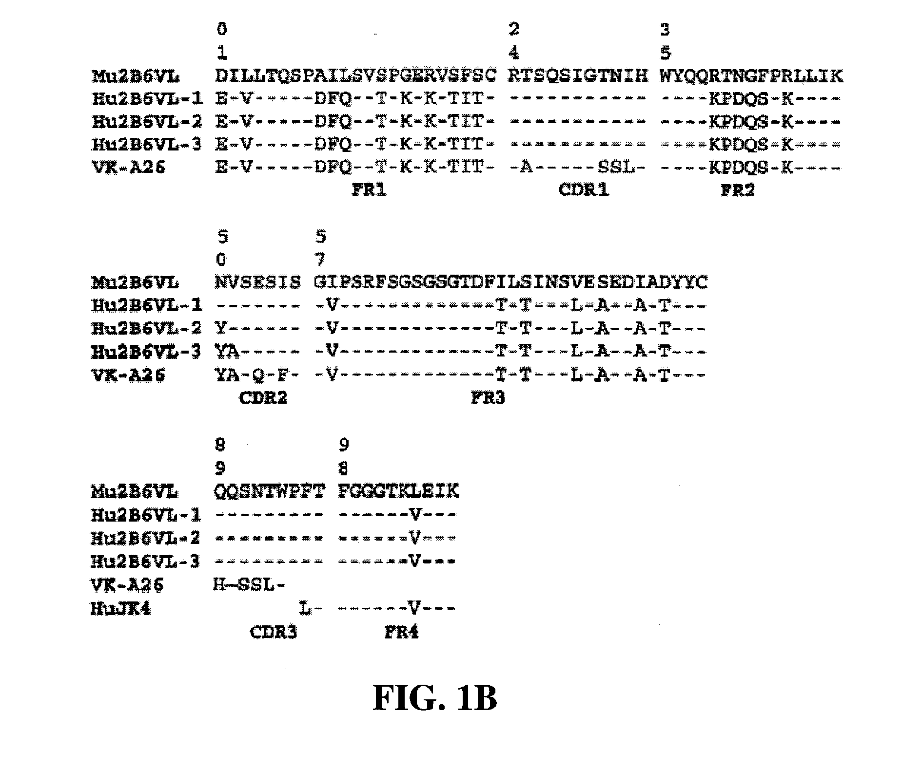 Humanized Fc.gamma.RIIB-Specific Antibodies and Methods of Use Thereof