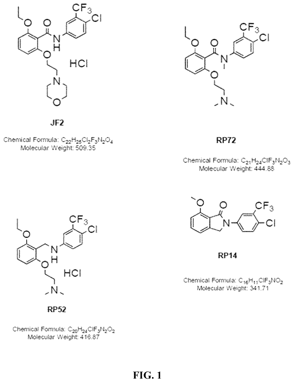 Histone acetyltransferase activators and compositions and uses thereof