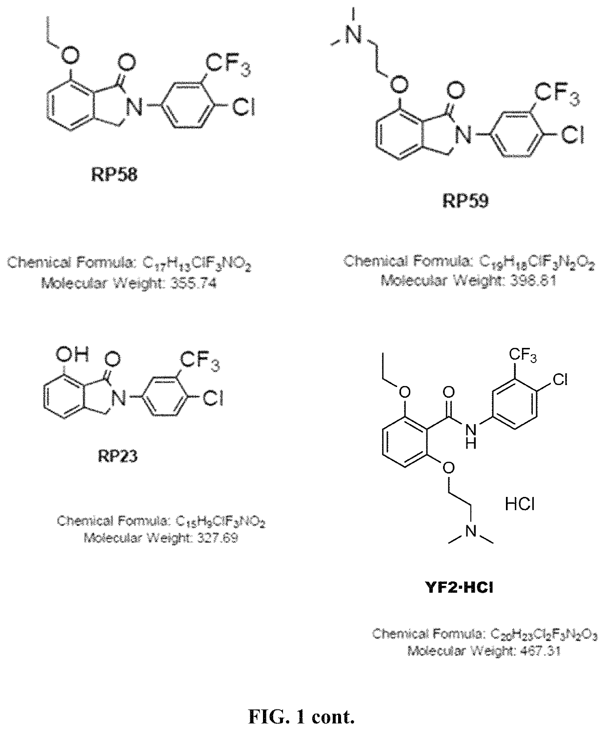 Histone acetyltransferase activators and compositions and uses thereof