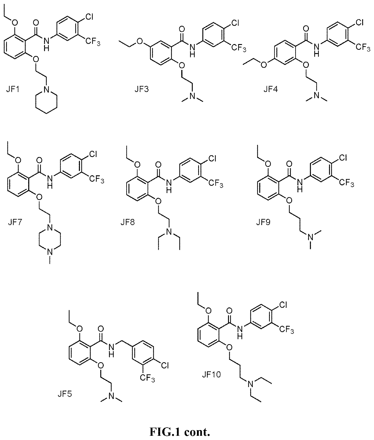 Histone acetyltransferase activators and compositions and uses thereof