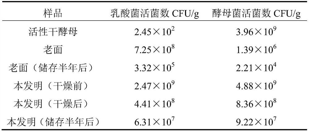 Method for producing whole wheat sour dough leavening agent by utilizing strain synergistic enzyme treatment technology