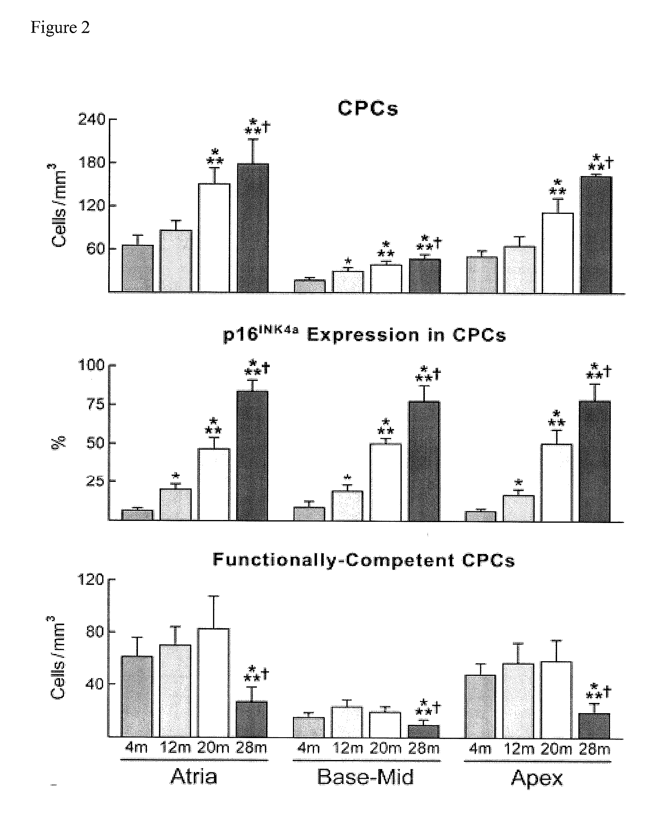 Methods of isolating non-senescent cardiac stem cells and uses thereof