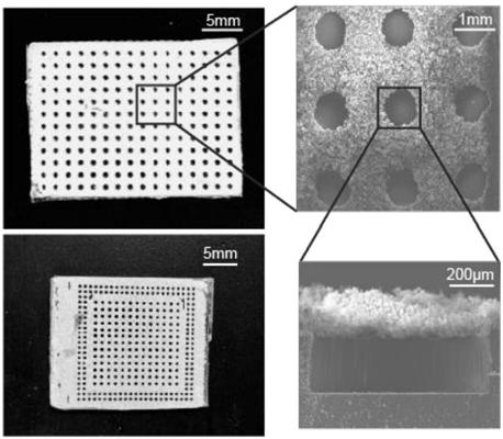 High-throughput three-dimensional cell pellet culture and in-situ drug sensitivity test method