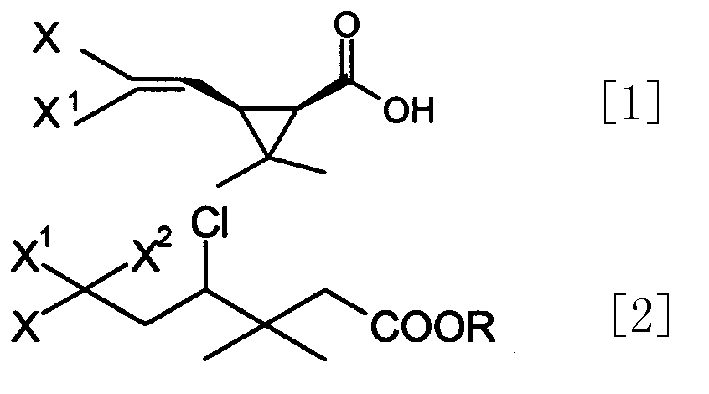 Process for preparing cis-halochrysanthemic acid