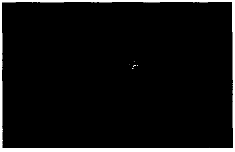 Gastric stasis system of total alkaloids of coptis and evodia rutaecarpa as well as preparation method and application thereof